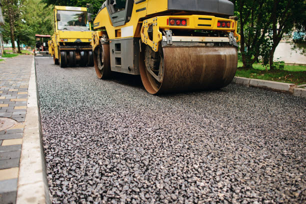 Best Residential Paver Driveway  in Cactus Flats, AZ